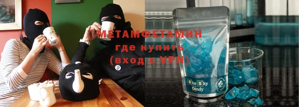 прущие грибы Наволоки