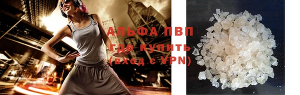 стаф Михайловск