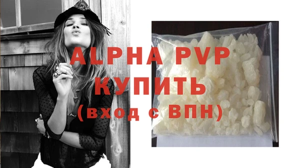 прущие грибы Наволоки