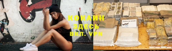 прущие грибы Наволоки