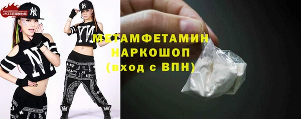 прущие грибы Наволоки