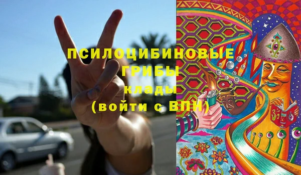 прущие грибы Наволоки