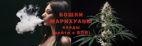 прущие грибы Наволоки