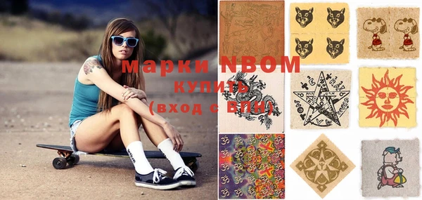 прущие грибы Наволоки